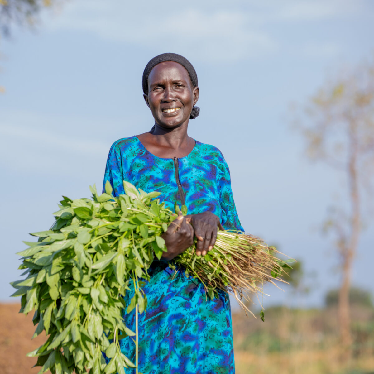 Akon Anyang is a 40-year-old vegetable vendor who buys her produce from Charo farm where both Kenyans and refugees farm. She and her friends then sell these vegetables to both Kenyans and refugees, making money to support their families in different ways and children with education materials. ; In Kakuma, arable land and water are rare resources. However, despite the prevalence of uncompetitive and inconsistent pricing and inadequate agronomic techniques, farmers are increasingly likely to sell their goods to external markets and profit from economies of scale. In addition, there are many refugees; thus, there are many market possibilities for agricultural production.

Jobs, Livelihoods, and Economic Integration:

In 2016, UNHCR, via AAHI, began land reclamation in Kakuma 2's Choro region. Because the Nabek River is prone to flooding, in 2014, UNHCR did evacuate refugees living along its banks to higher grounds. Despite the invasive Mathenge Prosopis Juliflora, the idleness of the land used made it suitable for agricultural production.

Through the Kakuma Refugee Assistance Program (KRAP), UNHCR injected approximately US$200,000 for two years. Which helped set up a one-acre model farm to see if farming could be an alternative source of income, which turned out to be a good idea. One acre of land was set aside for 100 host and refugee farmers from the Great Lakes region. As a result, eight boreholes were rehabilitated, agricultural inputs and tools were bought, farmers' skills were built, and farmers learned to grow various crops suitable for the existing climate.

At the end of 12 months, all factors of production constant, 200 farmers in 20 groups of tens obtained 250 tonnes of Okra, Amaranth, Cassava, Spinach, Chillies, Moringa, Sweet potato leaves at harvesting. It did generate US$3000 in revenues increasing household incomes, affording direct beneficiaries three regular meals daily, and elevating interest for other Persons of concern wanting to practice agricult